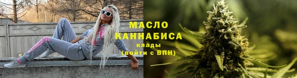индика Верхний Тагил