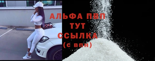 индика Верхний Тагил