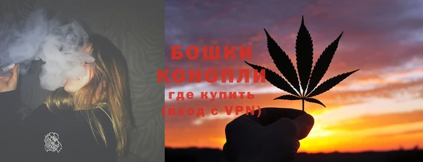 индика Верхний Тагил