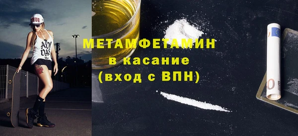 индика Верхний Тагил