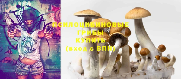 индика Верхний Тагил