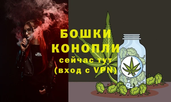 индика Верхний Тагил