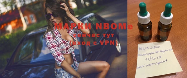индика Верхний Тагил