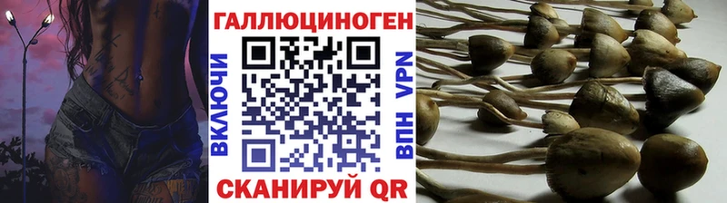 Псилоцибиновые грибы ЛСД  Луза 